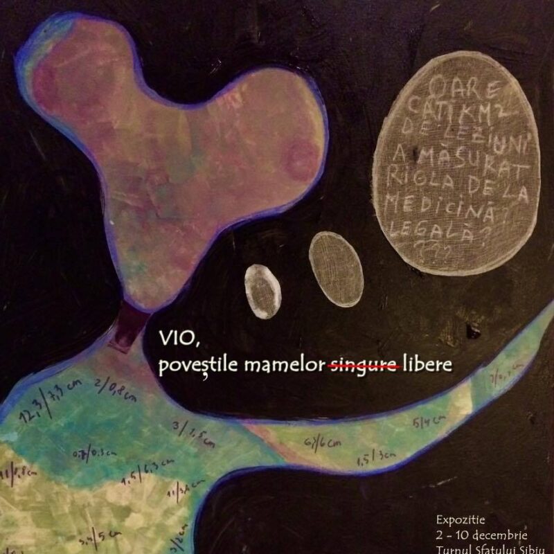 „Și Eu Reușesc” - Sprijin pentru femeile care se confruntă cu violența domestică