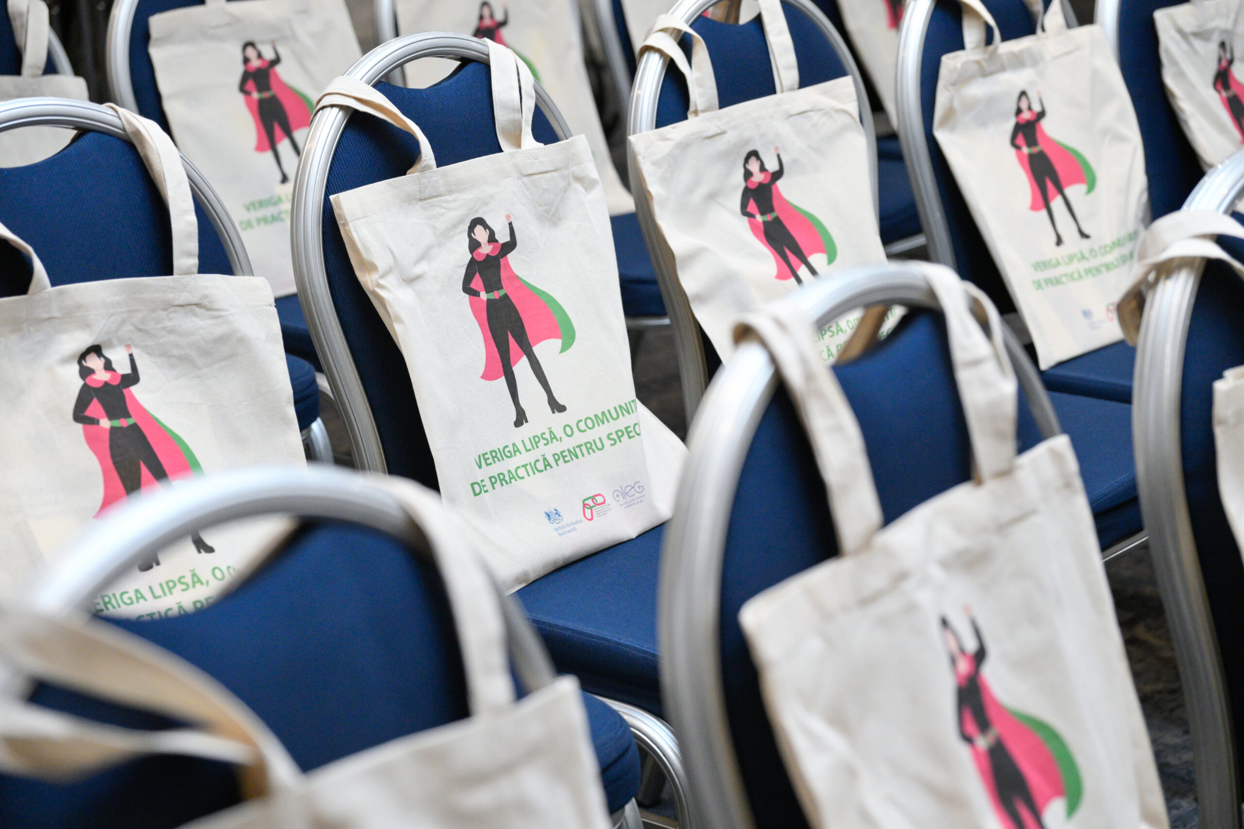 Veriga lipsă - modelul Comunității de Practică pilotat la Sibiu